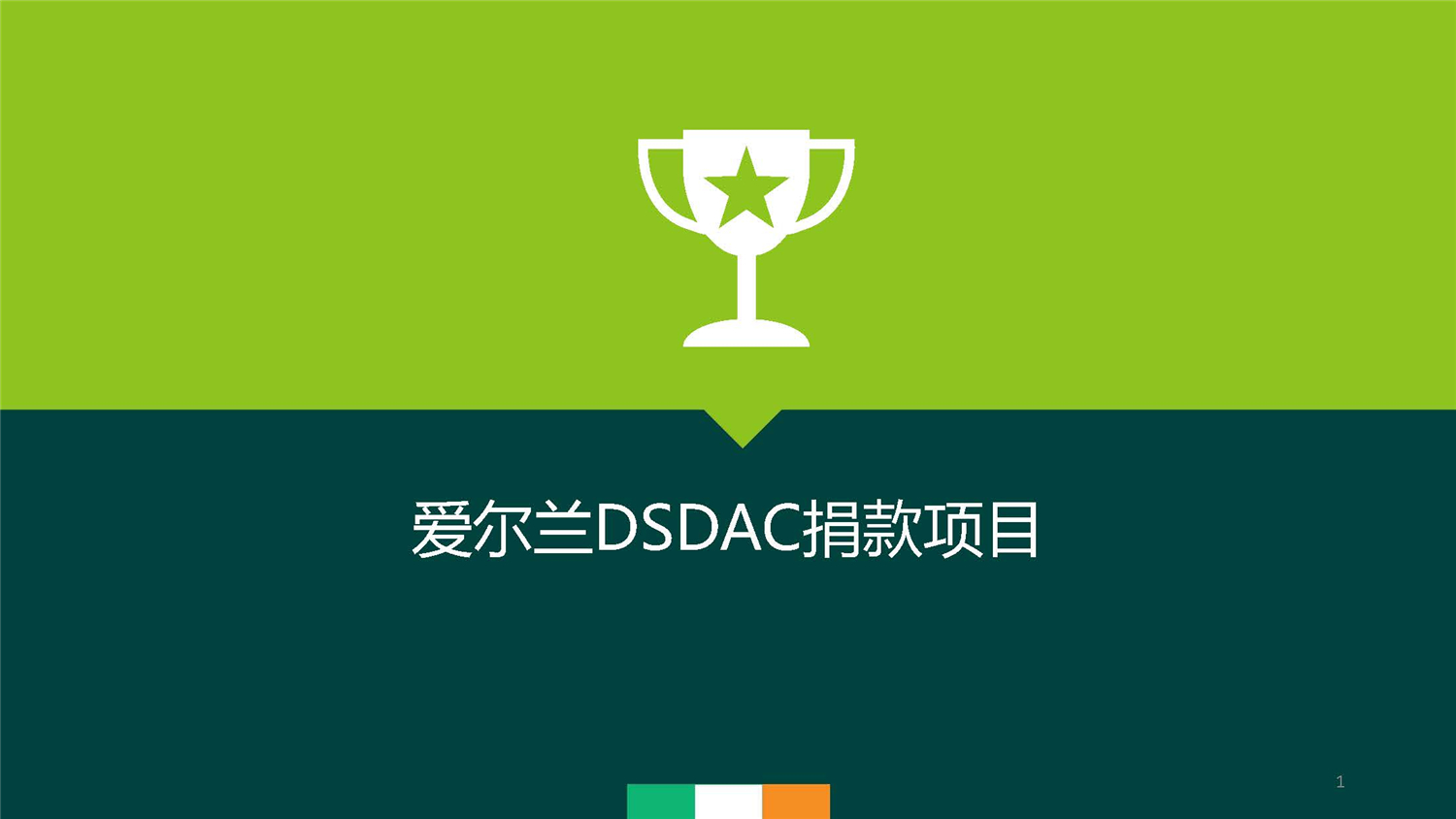 1、愛爾蘭DSDAC團捐項目介紹_頁面_01.jpg